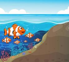 muitos peixes exóticos personagem de desenho animado no fundo subaquático vetor