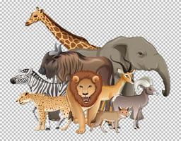 grupo de animais selvagens africanos em fundo transparente vetor