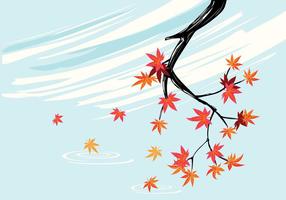 Planta de bordo japonesa lisa com fundo de céu e folhas de maple de outono