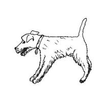 mão desenhada ilustração em vetor contorno preto. cão fox terrier com uma coleira em uma pose de pé, contorno em um fundo branco.