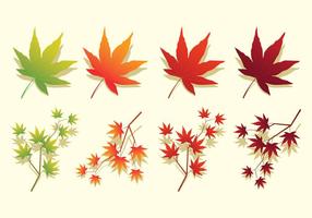 Ícones japoneses de folhas de maple vetor