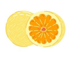 daifuku de laranja doce. ilustração de doces japoneses. vetor