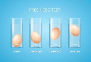 conceito de teste de ovo fresco 3d detalhado realista. vetor