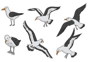 Ícones de vetor de albatroz