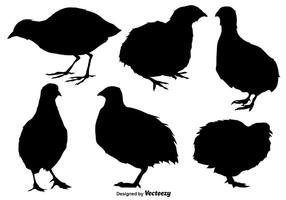 Vector Set Of Quail Flat Icons / Silhouettes