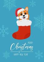 cartão de natal com corgi de natal na meia. saudação texto feliz natal e feliz ano novo. bela ilustração para cartões, cartazes e design sazonal. vetor