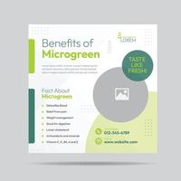 design de postagem de mídia social de benefício microgreen e modelo de banner de empresa de plantação microgreen vetor