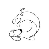 dachshund pratica ioga. vetor doodle animal isolado