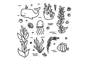 Fauna e flora dos vetores oceânicos