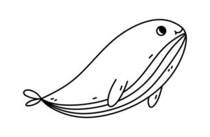 baleia bonita isolada no fundo branco. ilustração vetorial desenhada à mão em estilo doodle. perfeito para decorações, logotipo, vários designs. vetor