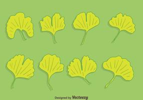 Vector de coleção de folhas de Ginkgo