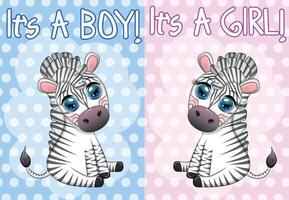 cartão é um menino, é uma menina com uma linda zebra de desenho animado sentada. feriado infantil do recém-nascido, chá de bebê vetor
