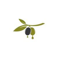 conjunto de ilustração em vetor logotipo verde-oliva