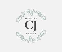 cj letras iniciais coleção de logotipos de monograma de casamento, modelos modernos minimalistas e florais desenhados à mão para cartões de convite, salve a data, identidade elegante para restaurante, boutique, café em vetor