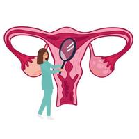 ciclo menstrual feminino. médica acompanhando o ciclo menstrual. ilustração em vetor do sistema reprodutor feminino.