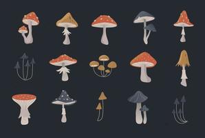 conjunto de cogumelos da floresta dos desenhos animados. vector ilustração isolada de cogumelo diferente