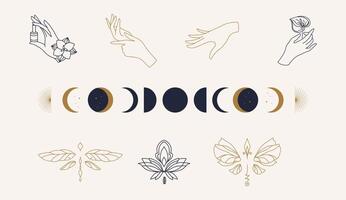 símbolos de logotipo de modelo linear com libélula de luxo, lua e mãos em um fundo nu vetor