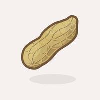 ilustração de desenhos animados de amendoim de frutas frescas vetor