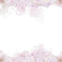 arranjo de fundo pastel aquarela com delicadas flores de peônia rosa desenhadas à mão, brotos e folhas. isolado no branco. para convites, casamento, amor ou cartões, papel, impressão, têxtil vetor