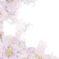 arranjo de fundo pastel aquarela com delicadas flores de peônia rosa desenhadas à mão, brotos e folhas. isolado no branco. para convites, casamento, amor ou cartões, papel, impressão, têxtil vetor