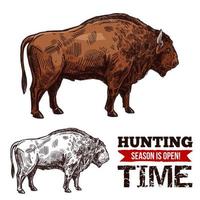 cartaz de vetor de esboço de tempo de caça com búfalo