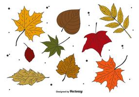 Conjunto de vetores de folhas de outono