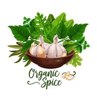 especiarias orgânicas e cartaz de ingredientes de ervas para cozinhar vetor