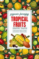 frutas tropicais, comida exótica vetorial vetor