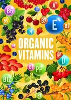 vitaminas orgânicas em frutos silvestres naturais saudáveis vetor