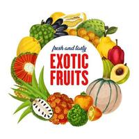 frutas exóticas, frutas cítricas tropicais, colheita de melão vetor