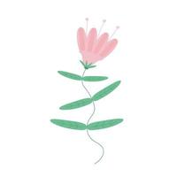 imagem vetorial de uma flor de sino rosa em uma haste com folhas vetor