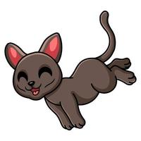 desenho animado de gato korat fofo pulando vetor