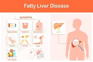 ilustração vetorial. infográfico de doença hepática gordurosa. fraqueza, icterícia, edema, dor no lado direito do abdômen, diminuição do apetite e rápida perda de peso. vetor