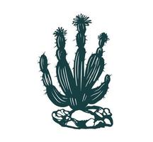 conjunto de cactos ilustrações desenhadas à mão, vetor