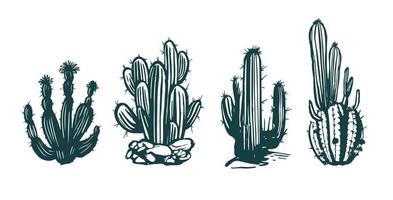 conjunto de cactos ilustrações desenhadas à mão, vetor