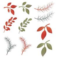coleção de galhos com folhas verdes e vermelhas de diferentes formas vetor