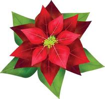 flor de poinsétia de feliz natal, pode ser usada este gráfico para qualquer tipo de mercadoria. é perfeito para qualquer projeto de embalagem, papelaria, canecas, bolsas, almofadas, camisetas, etc. o que você quiser vetor