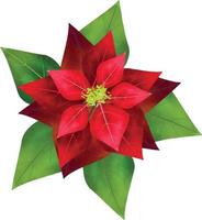 flor de poinsétia de feliz natal, pode ser usada este gráfico para qualquer tipo de mercadoria. é perfeito para qualquer projeto de embalagem, papelaria, canecas, bolsas, almofadas, camisetas, etc. o que você quiser vetor