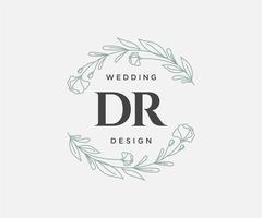 coleção de logotipos de monograma de casamento de letras iniciais dr, modelos minimalistas e florais modernos desenhados à mão para cartões de convite, salve a data, identidade elegante para restaurante, boutique, café em vetor