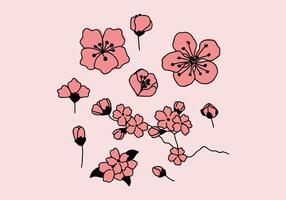 flores de ameixa rosa vetor