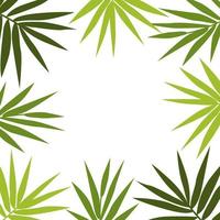 fundo na forma de um quadro de folhas verdes de vetor de bambu