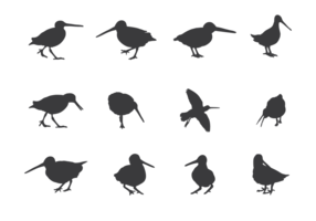 Snipe silhouettes vector