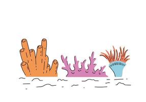 corais no recife. plantas subaquáticas. submarino tropical exótico. ilustração plana de desenho animado vetor
