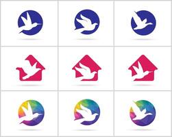 coleção de design de vetor de logotipo de pássaro.
