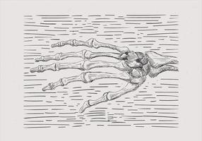 Ilustração de mão de esqueleto desenhada mão livre