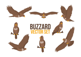 vetor de desenhos animados de buzzard
