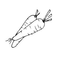 ilustração desenhada à mão de cenoura para decoração de crachá e logotipo. arte de linha cenoura desenhada à mão estilo vintage vetor