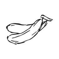 desenho de mão de banana. ilustração vetorial de banana para design com estilo de linha vetor