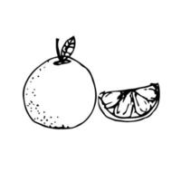 vetor laranja desenhado à mão minimalista. ilustração laranja para elemento de design e decoração em estilo vintage