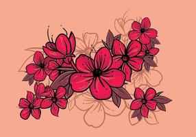 ilustração da flor de ameixa vetor